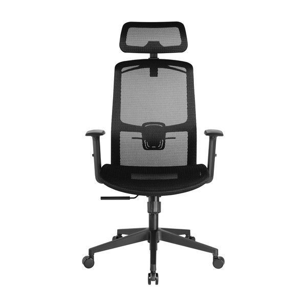 Scaun de birou ergonomic LumiVida Ergonomic Office Chair LV-CH05-18, Black, Headrest, Elastic Breathable Mesh Seat and Back, Pneumatic Seat-Height Adjustment,  Nylon Base, PU Hooded Caster, 100mm Class 4 Gas Lift, Weight Capacity 150 Kg 33421 DOXYTERRA.md foto