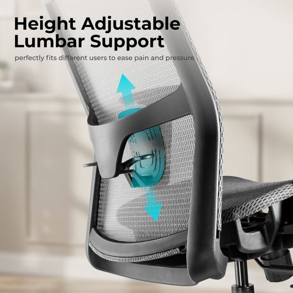 Scaun de birou ergonomic LumiVida Ergonomic Office Chair LV-CH05-18, Black, Headrest, Elastic Breathable Mesh Seat and Back, Pneumatic Seat-Height Adjustment,  Nylon Base, PU Hooded Caster, 100mm Class 4 Gas Lift, Weight Capacity 150 Kg 33421 DOXYTERRA.md foto