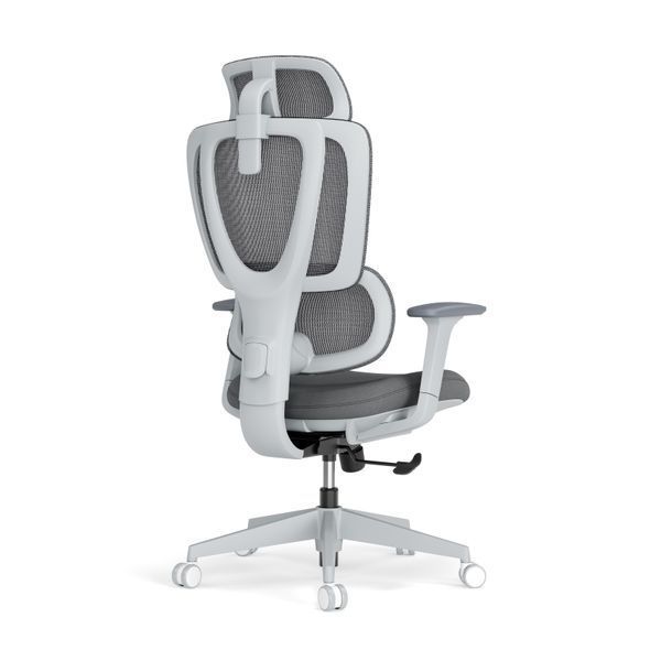 Scaun de birou ergonomic LumiVida Fully-Adjustable Ergonomic Office Chair LV-CH10-26, Grey, Breathable Mesh Back, Seat&Back Height Adjustment, Adjustable Headrest&Lumbar Support, 3D Armrest, 340mm Nylon Plastic Base, 85mm Class 3 Gas Lift,Weight Capacity  33422 DOXYTERRA.md foto