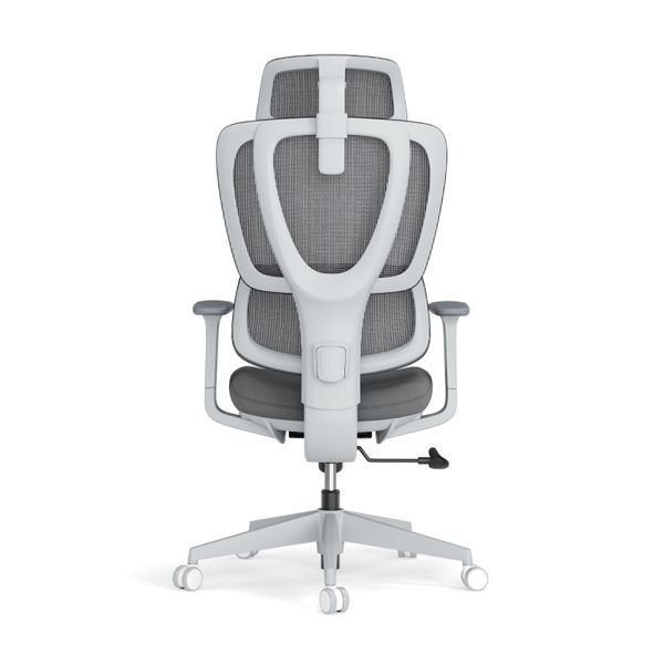 Scaun de birou ergonomic LumiVida Fully-Adjustable Ergonomic Office Chair LV-CH10-26, Grey, Breathable Mesh Back, Seat&Back Height Adjustment, Adjustable Headrest&Lumbar Support, 3D Armrest, 340mm Nylon Plastic Base, 85mm Class 3 Gas Lift,Weight Capacity  33422 DOXYTERRA.md foto