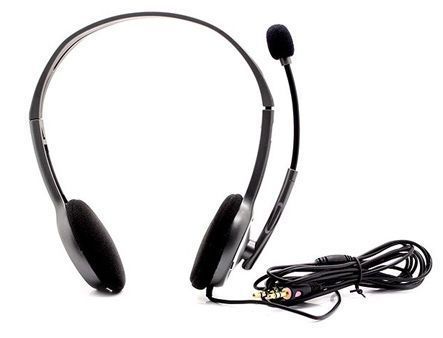 Logitech H110 Grey Stereo Headset, Headset: 20Hz-20kHz, Microphone: 100Hz-16kHz, 2m cable, 2 x mini-jack 3.5mm 981-000271 (casti cu microfon/наушники с микрофоном) 15097 DOXYTERRA.md foto