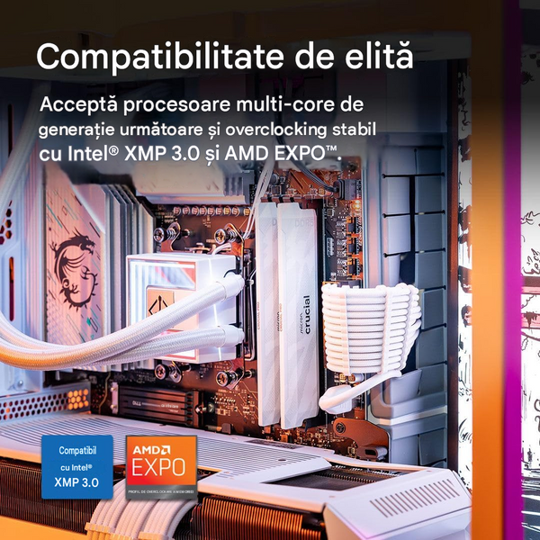 Memorie operativa 32GB DDR5 Dual-Channel Kit Crucial Pro White CP2K16G64C32U5W 32GB (2x16GB) DDR5 PC5-51200 6400MHz CL32, Retail 33643 DOXYTERRA.md foto