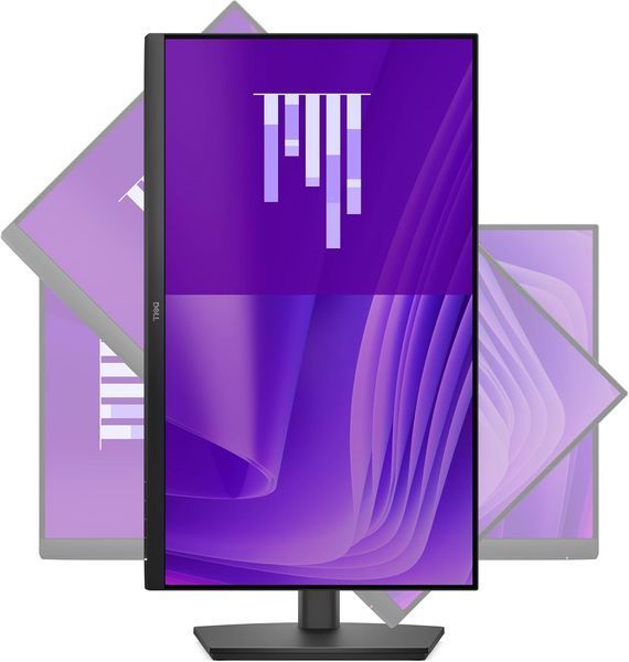 Monitor 23.8 DELL E2425HSM Black, IPS, 1920x1080 FHD, 100Hz, 5ms, 250cd, D-Sub+HDMI+DP, Speakers, Pivot 240008 DOXYTERRA.md фото