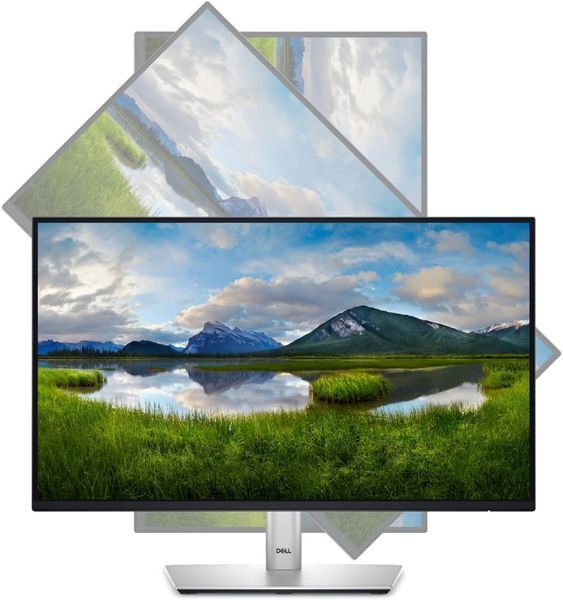Monitor 23.8 DELL P2425HE Black, IPS, 1920x1080, 100Hz, 5ms, 250cd, CR1500:1, D-Sub+HDMI+DP+USB, LAN, Pivot 231438 DOXYTERRA.md фото