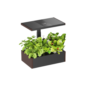 Lumi HGS02-2CD Indoor Gardening System with Advanced Control Panel 32031 фото