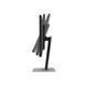Monitor 27 ASUS ProArt PA278QV Black, IPS, 2560x1440, 75Hz, 5ms, 350cd, CR1000:1, HDMI+DP+miniDP+DVI+USB, Speakers, Pivot 211140 foto 3 DOXYTERRA.md