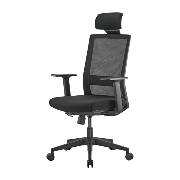 Scaun de birou ergonomic LumiVida Ergonomic Office Chair LV-CH05-37, Black, Adjustable Headrest, Lumbar Support, Breathable Mesh Back, Fixed Armrest, Pneumatic Seat-Height Adjustment, 340mm Nylon Base, 60mm PU Caster,100mm Class 3 Gas Lift, Weight Capacit 33418 DOXYTERRA.md foto