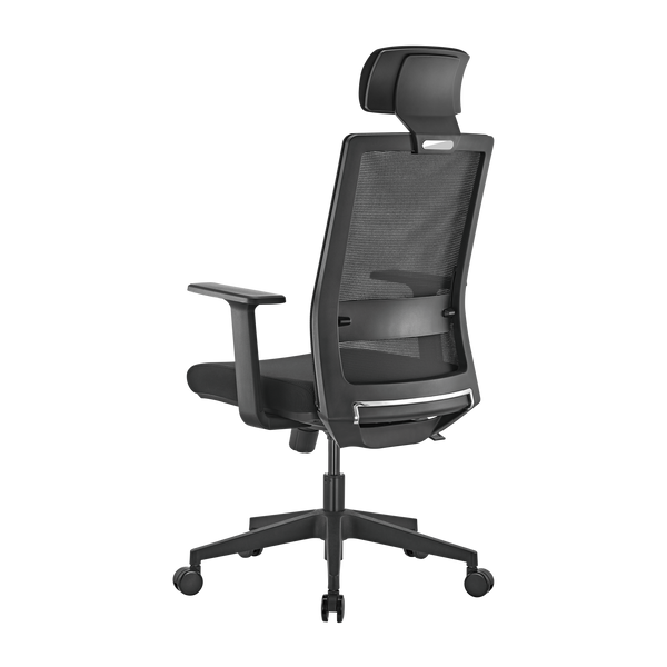 Scaun de birou ergonomic LumiVida Ergonomic Office Chair LV-CH05-37, Black, Adjustable Headrest, Lumbar Support, Breathable Mesh Back, Fixed Armrest, Pneumatic Seat-Height Adjustment, 340mm Nylon Base, 60mm PU Caster,100mm Class 3 Gas Lift, Weight Capacit 33418 DOXYTERRA.md foto