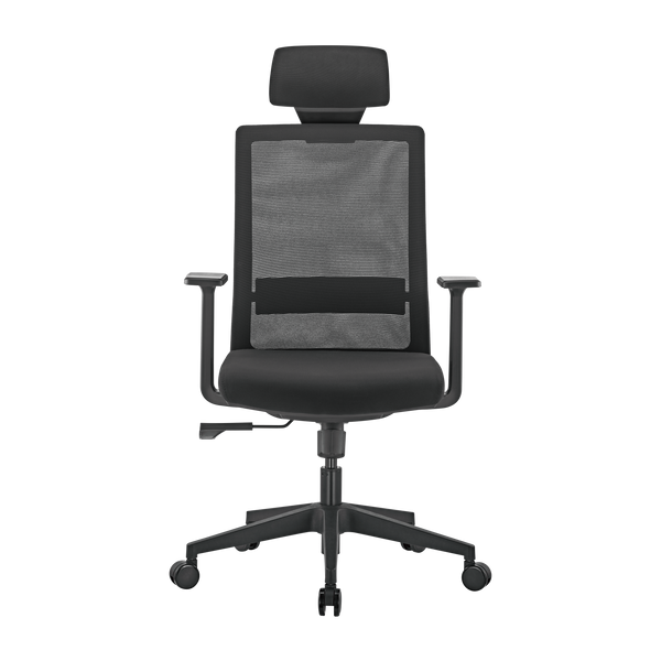 Scaun de birou ergonomic LumiVida Ergonomic Office Chair LV-CH05-37, Black, Adjustable Headrest, Lumbar Support, Breathable Mesh Back, Fixed Armrest, Pneumatic Seat-Height Adjustment, 340mm Nylon Base, 60mm PU Caster,100mm Class 3 Gas Lift, Weight Capacit 33418 DOXYTERRA.md foto
