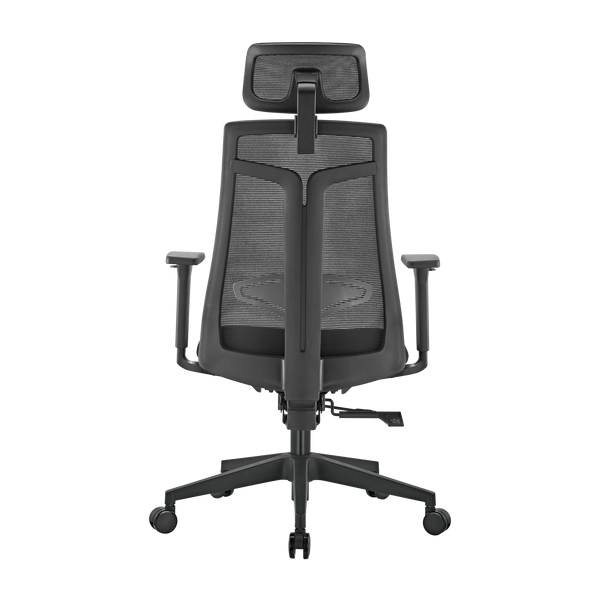 Scaun de birou ergonomic LumiVida Ergonomic Office Chair LV-CH05-40,Black,Adjustable Headrest, Lumbar Support,Breathable Mesh Back, Adjustable Armrest, Pneumatic Seat-Height Adjustment, Seat Depth Adj., 340mm Nylon Base, PU Caster, 100mm Class 3 Gas Lift, 33420 DOXYTERRA.md foto