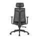 Scaun de birou ergonomic LumiVida Ergonomic Office Chair LV-CH05-40,Black,Adjustable Headrest, Lumbar Support,Breathable Mesh Back, Adjustable Armrest, Pneumatic Seat-Height Adjustment, Seat Depth Adj., 340mm Nylon Base, PU Caster, 100mm Class 3 Gas Lift, 33420 foto 5 DOXYTERRA.md